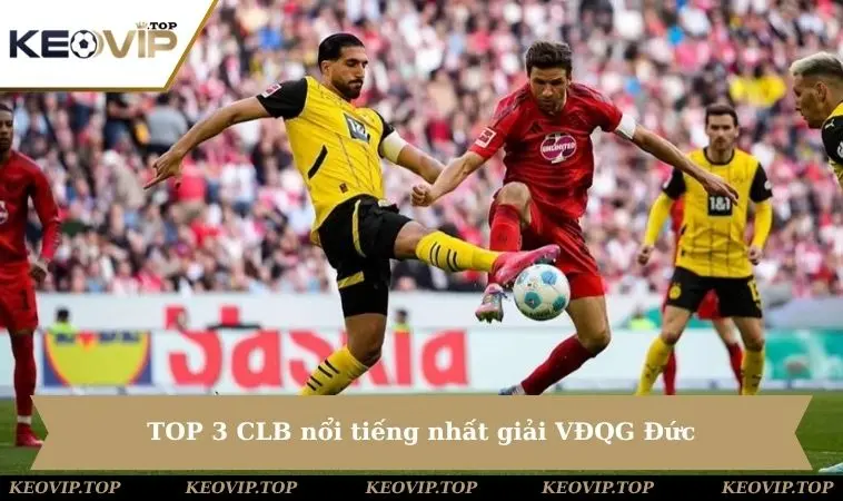 TOP 3 CLB nổi tiếng nhất giải VĐQG Đức