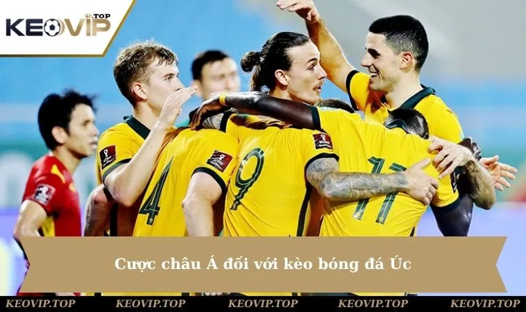 Cược châu Á đối với kèo bóng đá Úc