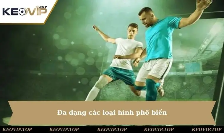 Đa dạng các loại hình phổ biến