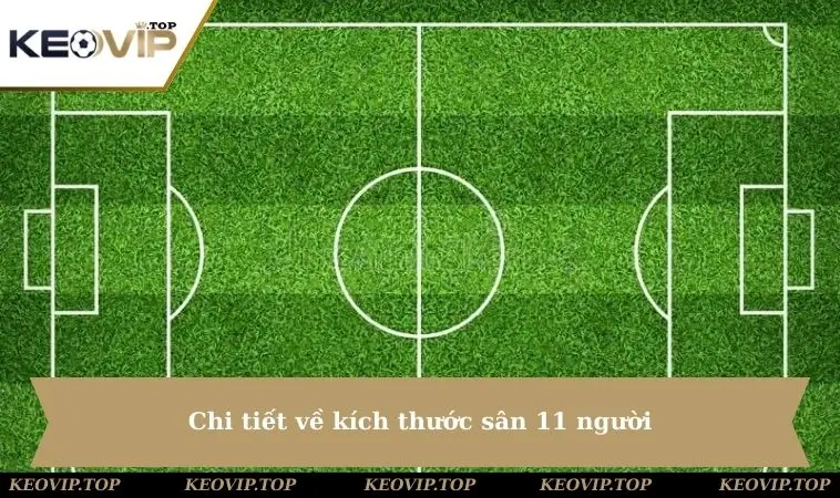 Chi tiết về kích thước sân 11 người