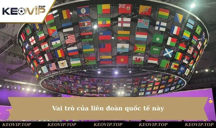 Vai trò của liên đoàn quốc tế này
